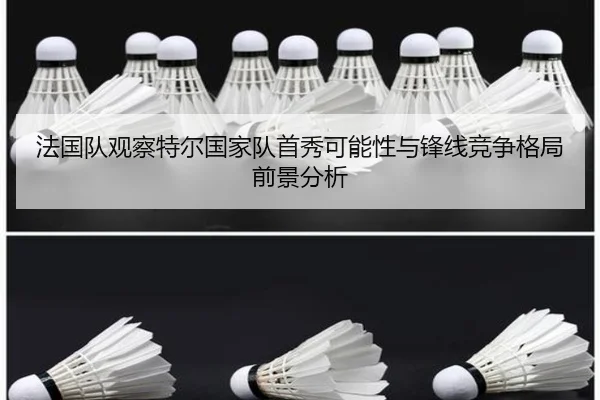 法国队观察特尔国家队首秀可能性与锋线竞争格局前景分析